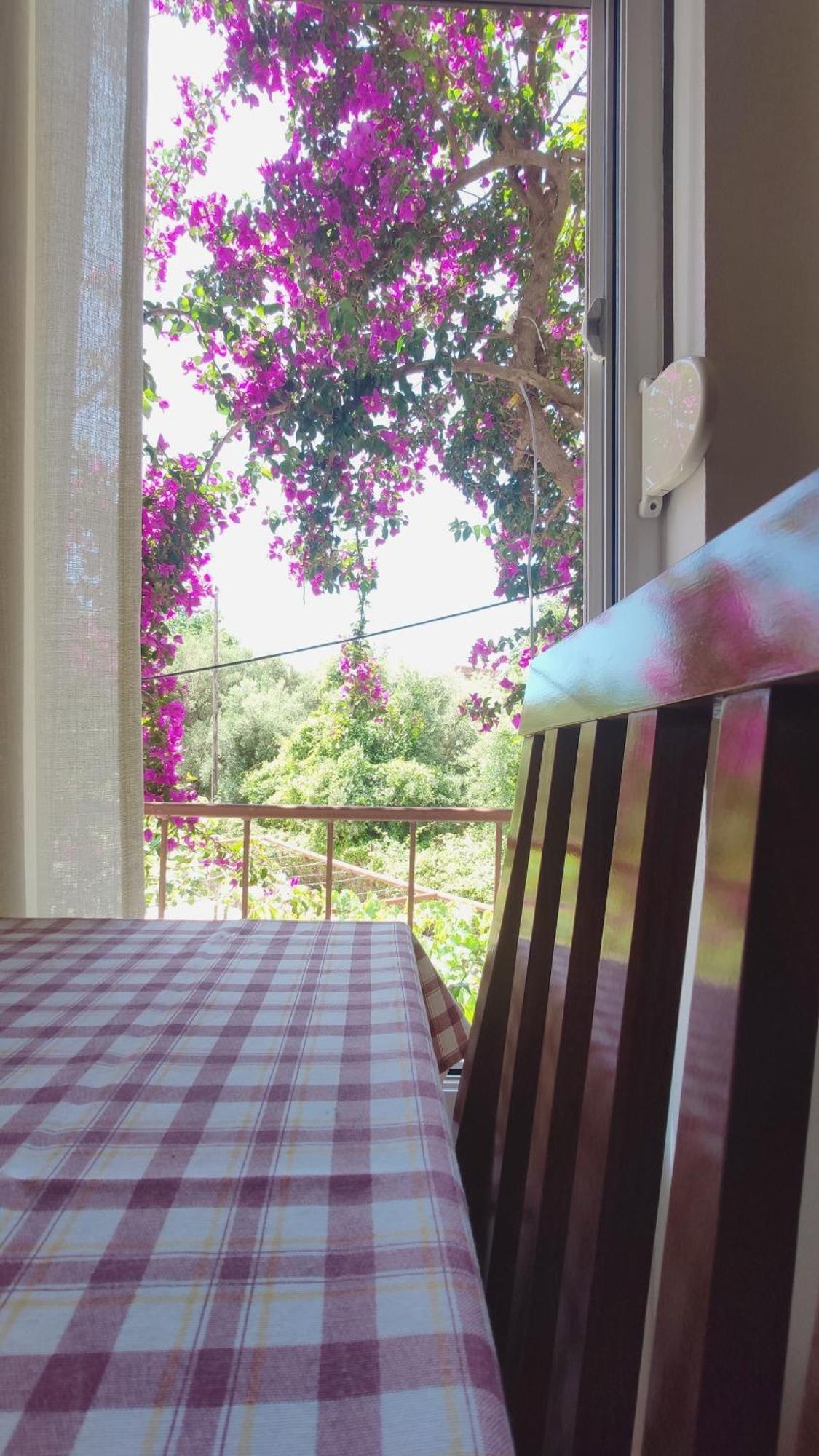 Apartments Ruza Budva Chambre photo